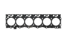 Tesnenie hlavy valcov PAYEN AG9520