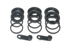 Těsnění, píst brzdového třmenu BUDWEG CALIPER 183030