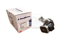 AGR-Ventil BE TURBO 310012