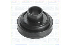 Tesniaci krúżok, vypúżżacia skrutka oleja AJUSA 00502700