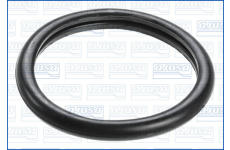 Těsnění, termostat Ajusa 00538100