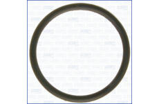 Těsnění, termostat AJUSA 00538200