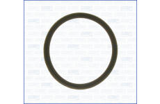 Těsnění, termostat AJUSA 00627900