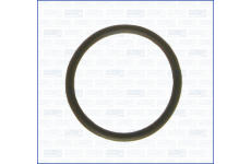 Těsnění, termostat AJUSA 00842000