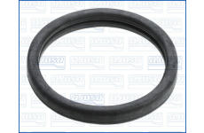 Těsnění, termostat AJUSA 01193700