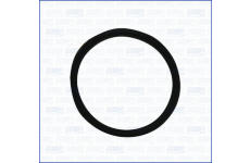 Těsnění, termostat AJUSA 01339300