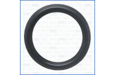 Tesnenie AJUSA 01495300