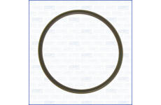 Tesniaci krúżok AJUSA 16031400