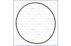 Těsnění, koleno sacího potrubí AJUSA 16032500