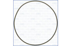 Těsnění, koleno sacího potrubí AJUSA 16058900