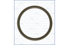 Těsnění, koleno sacího potrubí AJUSA 16060200