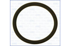 Těsnicí kroužek, potrubí plnicího vzduchu AJUSA 16098200