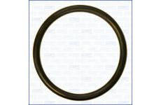 Tesniaci krúżok AJUSA 16101700