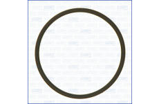 Tesniaci krúżok AJUSA 16106700