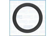 Tesnici krouzek, vstrikovani AJUSA 16107300