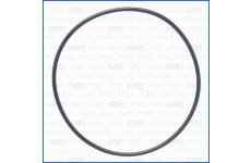 Tesniaci krúżok AJUSA 16137400