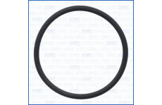 Těsnění, dmychadlo AJUSA 16559600