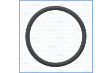 Těsnění, dmychadlo AJUSA 16559900