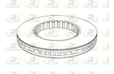 Brzdový kotouč ROADHOUSE NSX1177.20