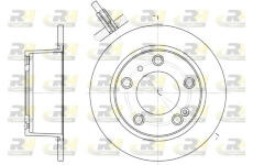 Brzdový kotouč ROADHOUSE 6020.00