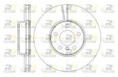 Brzdový kotouč ROADHOUSE 61307.10