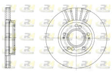 Brzdový kotouč ROADHOUSE 61678.10