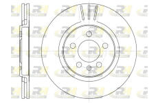 Brzdový kotouč ROADHOUSE 6293.10
