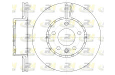 Brzdový kotouč ROADHOUSE 6300.10