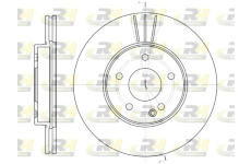 Brzdový kotouč ROADHOUSE 6313.10