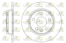 Brzdový kotouč ROADHOUSE 6453.00