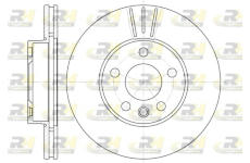 Brzdový kotouč ROADHOUSE 6496.10