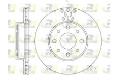 Brzdový kotouč ROADHOUSE 6517.10