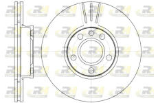 Brzdový kotouč ROADHOUSE 6660.10