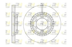 Brzdový kotouč ROADHOUSE 6669.10