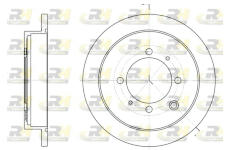 Brzdový kotouč ROADHOUSE 6907.00