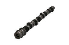 Vačkový hřídel JAPANPARTS AA-HY005