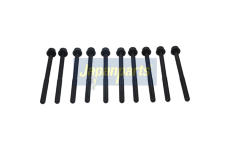 Sada šroubů hlavy válce JAPANPARTS BL-305