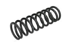 Prużina podvozku JAPANPARTS ZC5015A