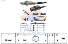 Lambda sonda FACET 10.8374