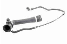 Hadica chladenia VAICO V20-2896