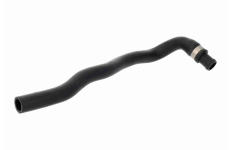 Hadica chladenia VAICO V20-4248