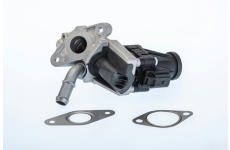 AGR-Ventil BTS Turbo A100070BL