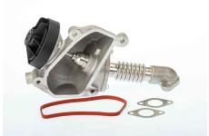 AGR-Ventil BTS Turbo A100081