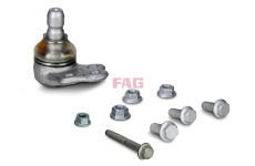 Zvislý/nosný čap Schaeffler FAG 825 0497 10