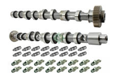 Sada vačkového hřídele Schaeffler INA 428 0059 30