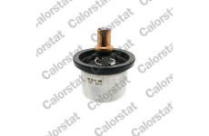 Termostat, chladivo CALORSTAT by Vernet THS20007.85