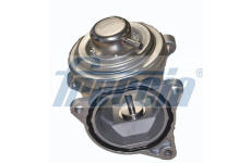 AGR-Ventil FRECCIA EGR12-101
