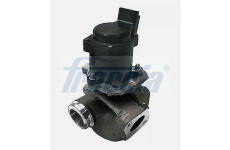 AGR-Ventil FRECCIA EGR12-222