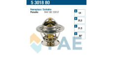 Termostat, chladivo FAE 5301880