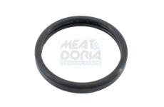 Tesnenie termostatu MEAT & DORIA 01675